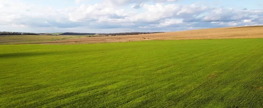 Grassland Reseeding - Is it worth the Hassle?